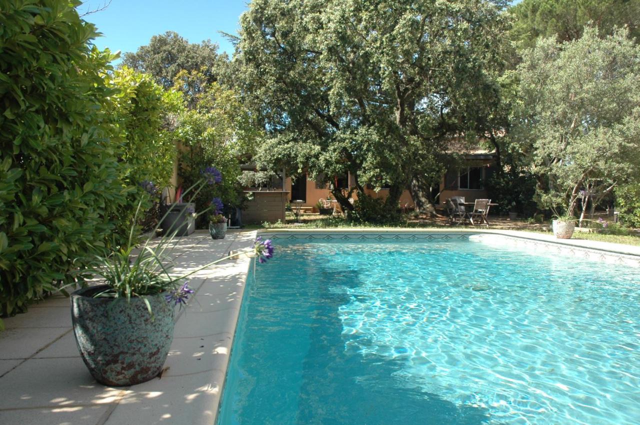 La Vigne Et L'Olivier Apartment Villeneuve-les-Avignon Ngoại thất bức ảnh
