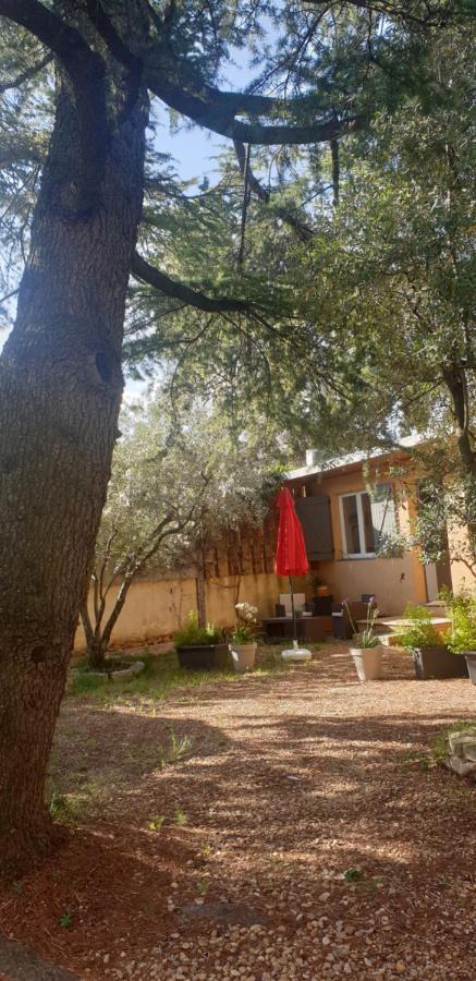La Vigne Et L'Olivier Apartment Villeneuve-les-Avignon Ngoại thất bức ảnh